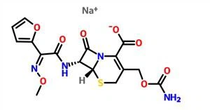 Cefuroxime sodiu CAS NO.56238-63-2